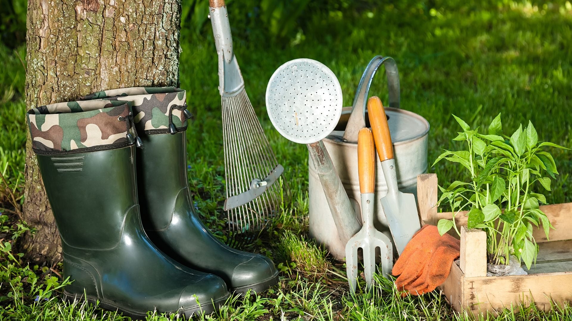 The Ultimate Guide to Tool Storage Solutions for Your Garden Shed