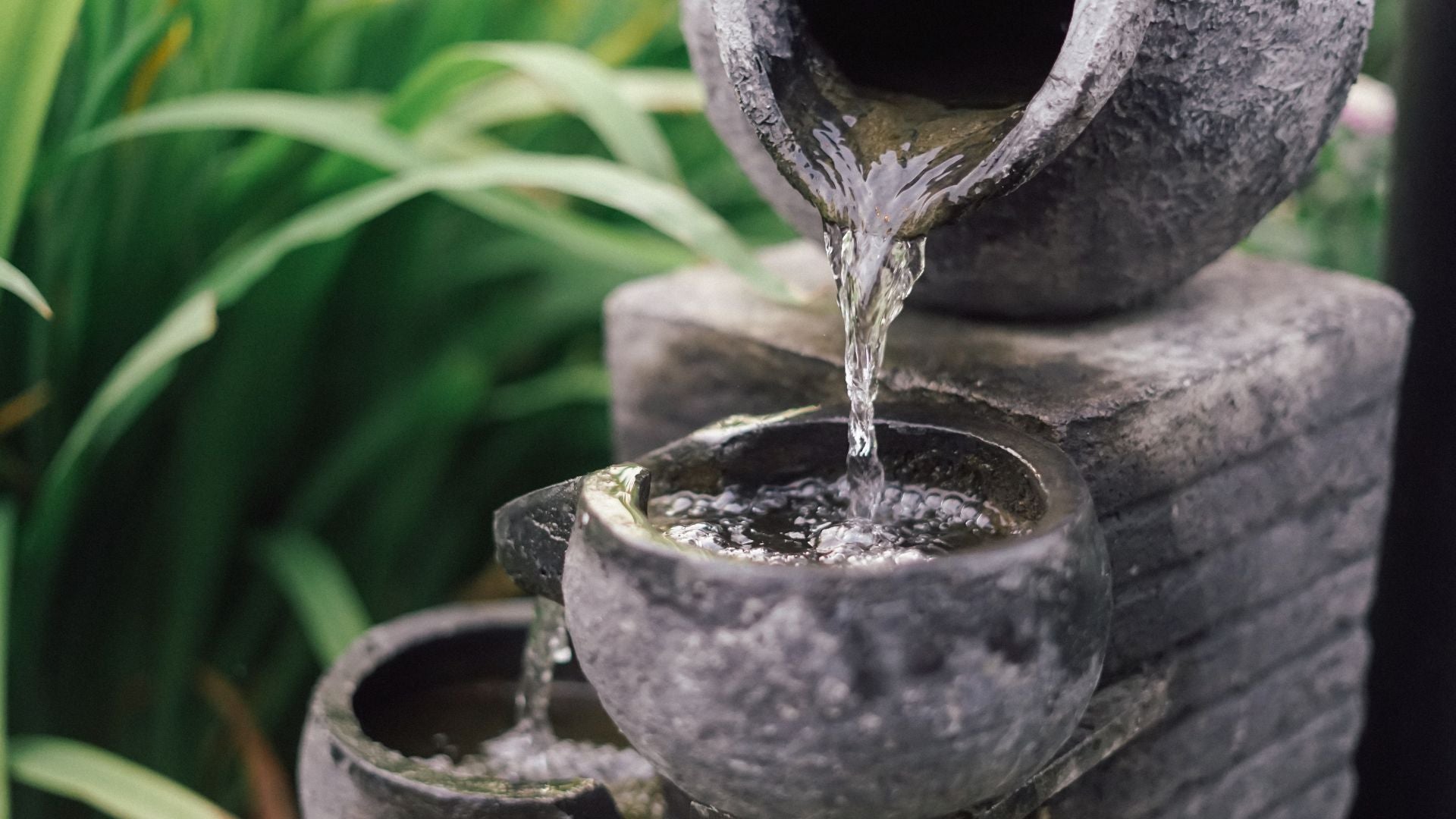 How To Keep Your Water Fountain Clear
