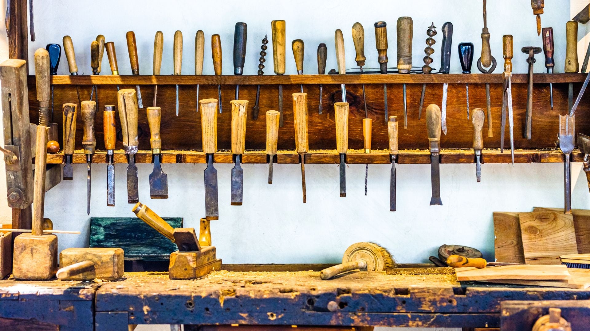 10 Must-Have Accessories for Your Garden Shed
