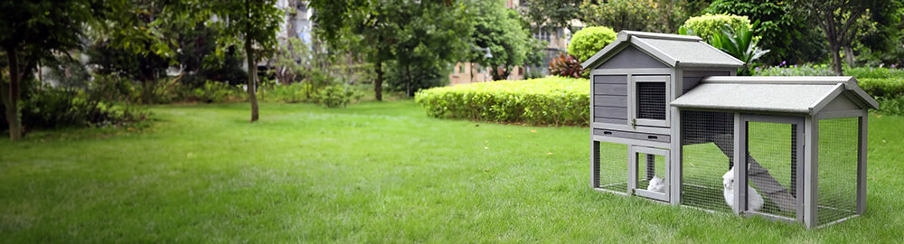 Pet Hutch