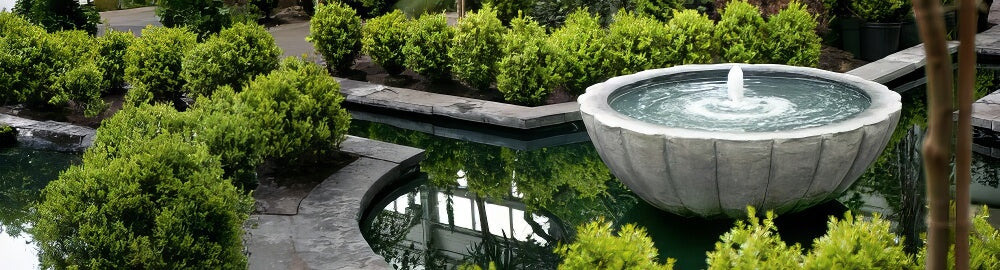 Water Feature