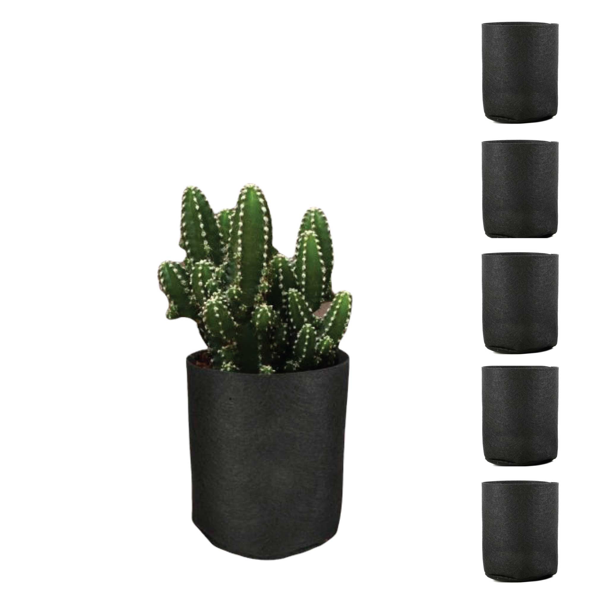 6-Pack 1 Gallon / 3.8L Fabric Grow Bags