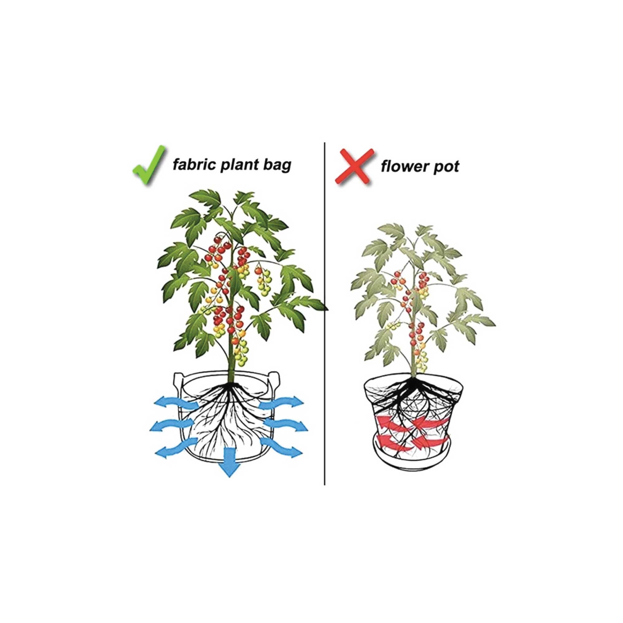 6-Pack 1 Gallon / 3.8L Fabric Grow Bags