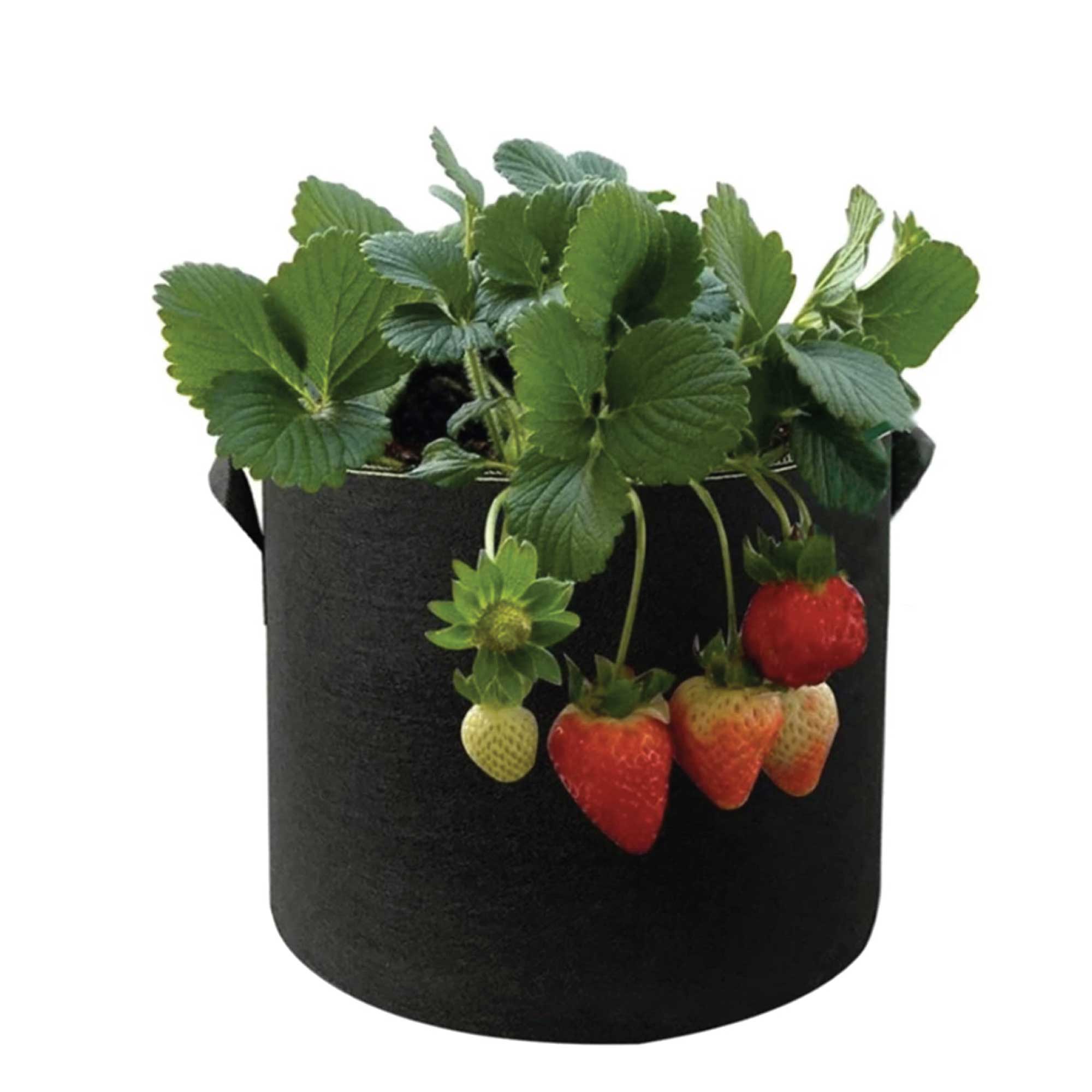 6-Pack 10 Gallon / 38L Fabric Grow Bags – Breathable Felt Plant Pots with Handles