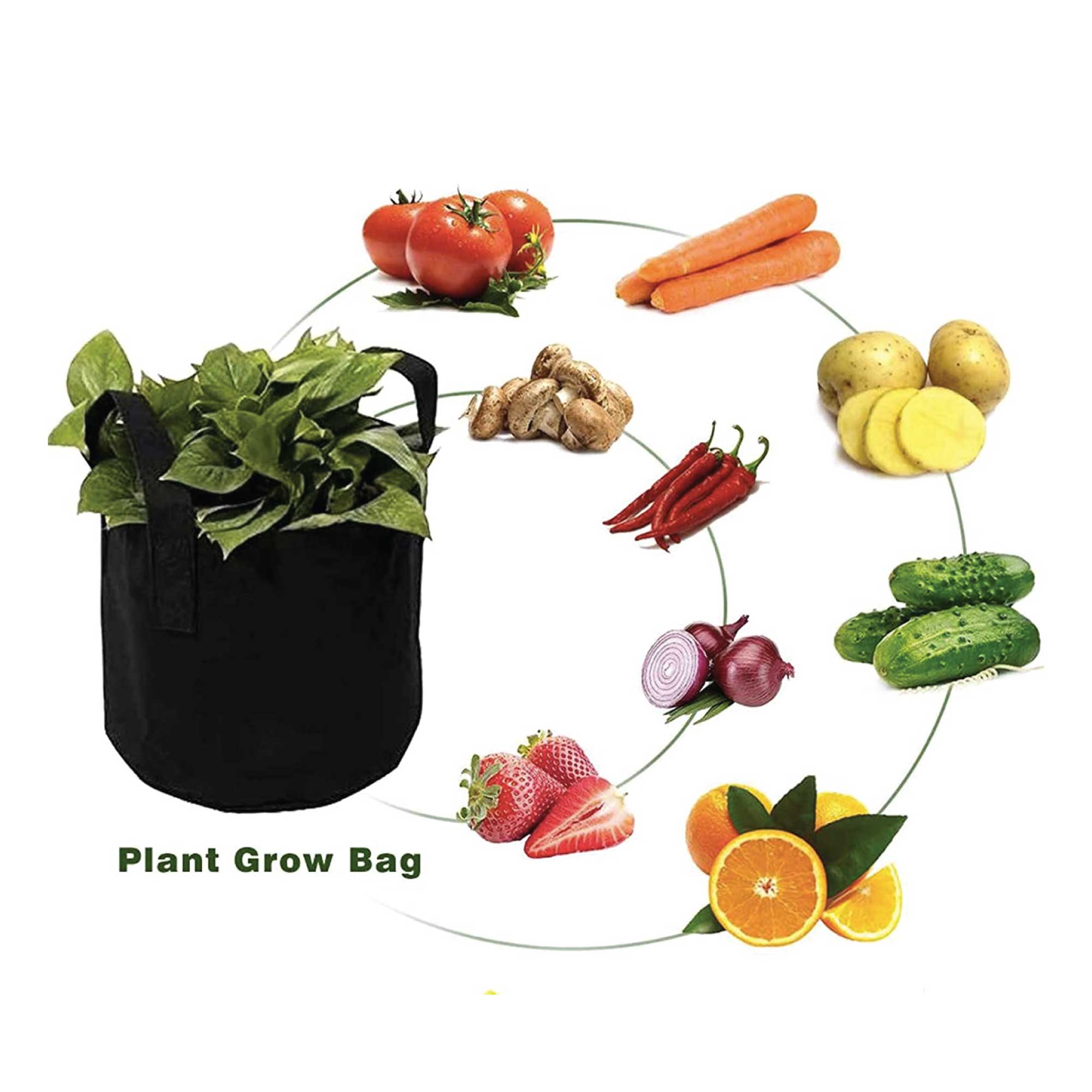 6-Pack 10 Gallon / 38L Fabric Grow Bags – Breathable Felt Plant Pots with Handles