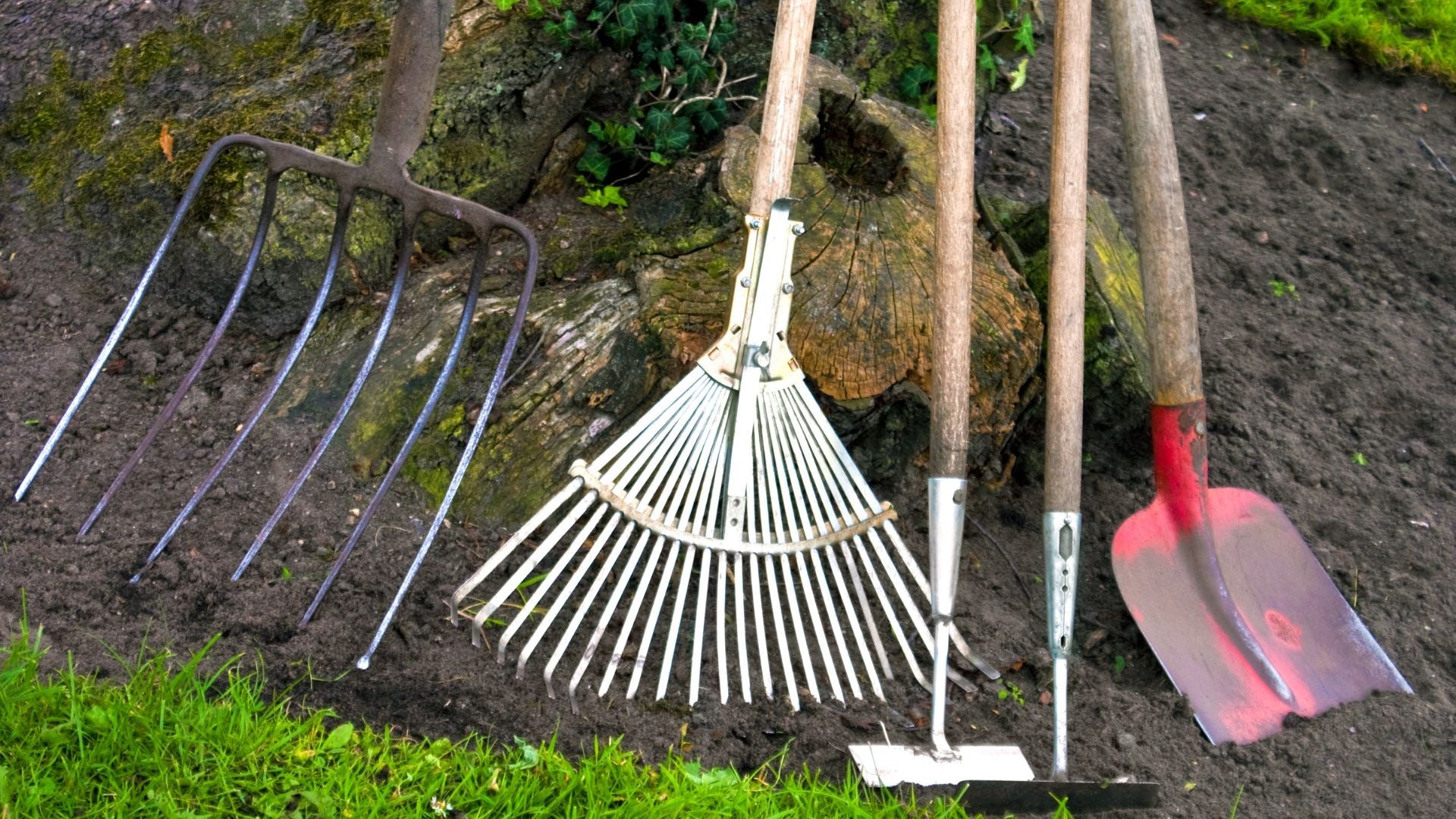 What Are the Essential Garden Tools for Beginners?