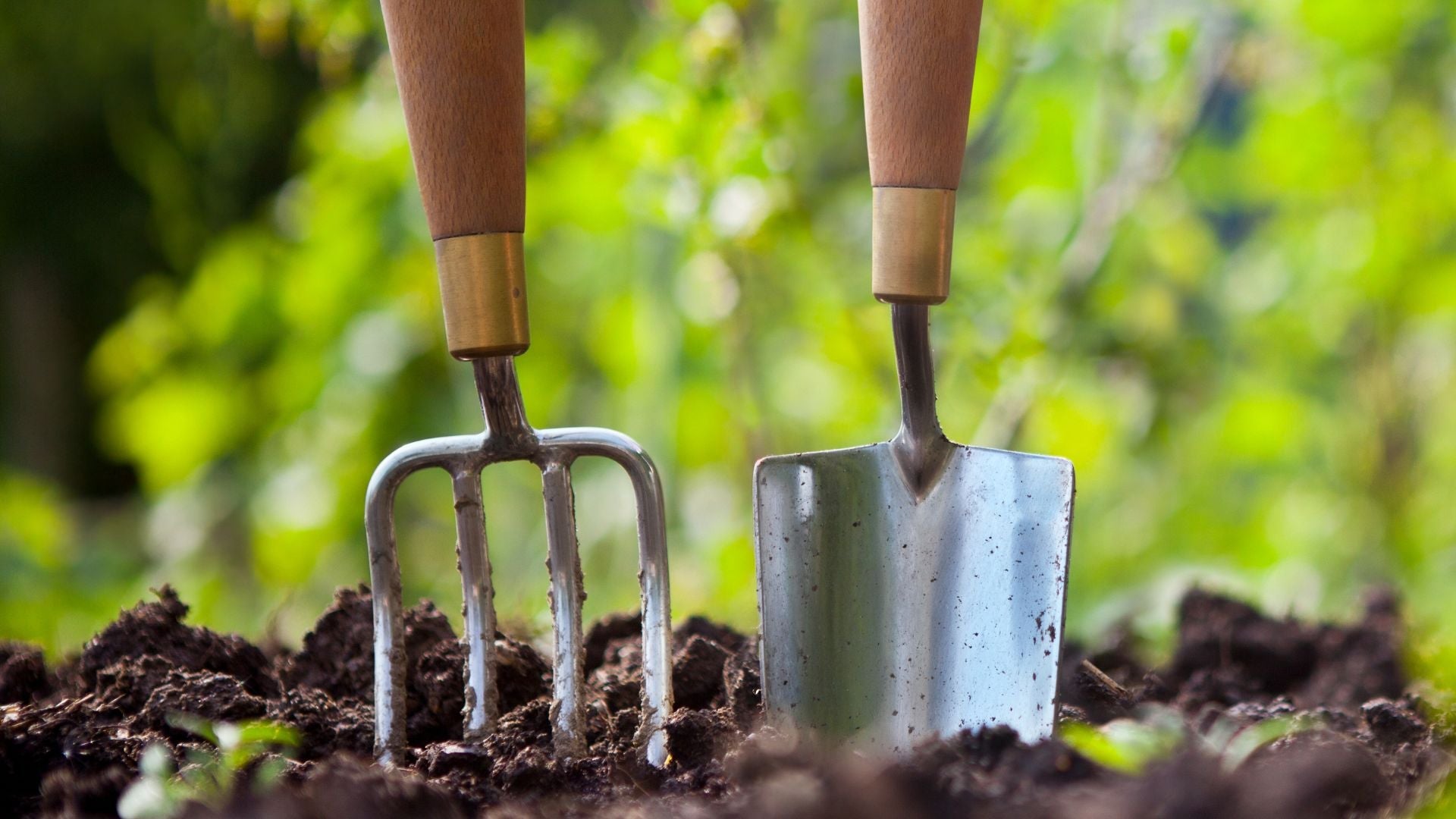 Must-Have Tools for Your Garden Shed Setup