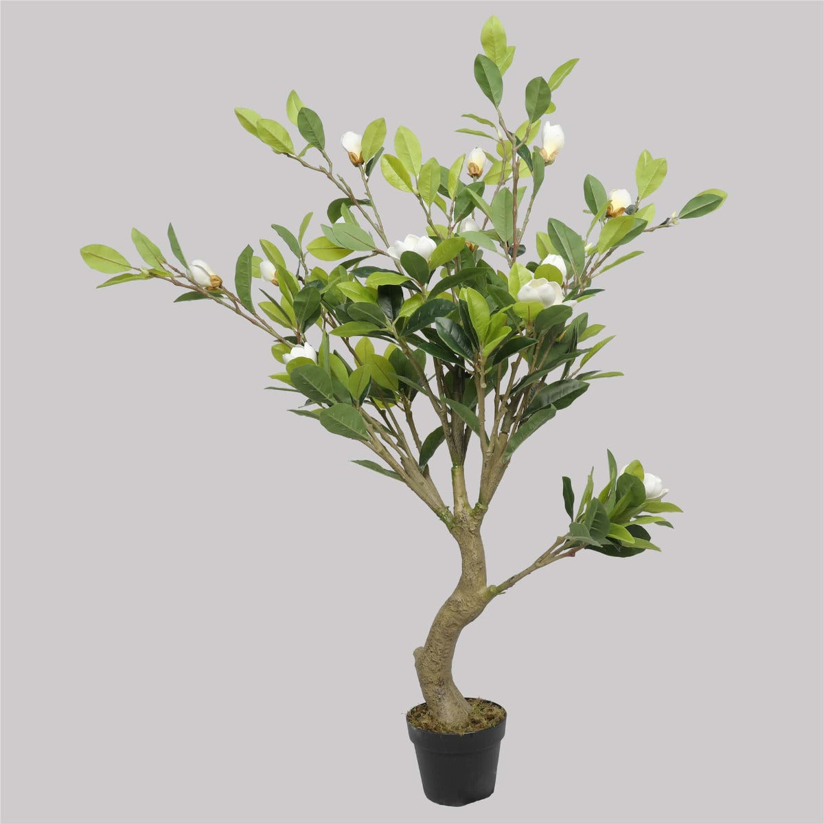 Faux White Flowering Magnolia Tree with Pot (130cm)