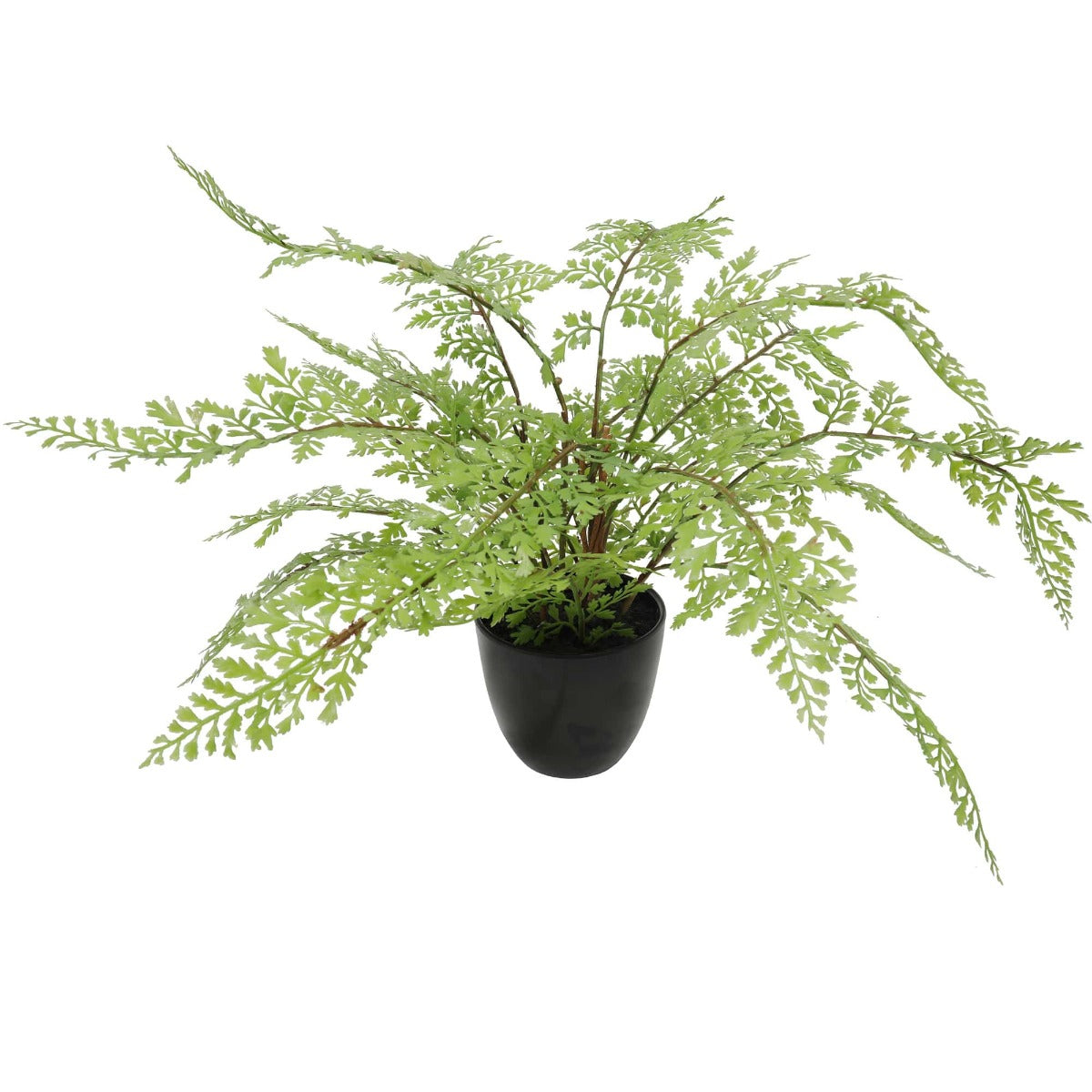 Faux Small Potted Fern (35cm)