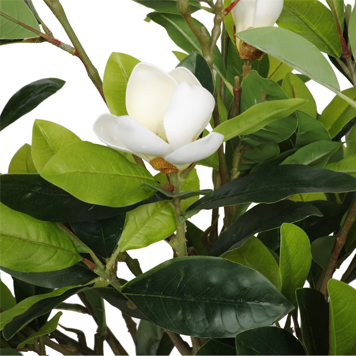 Faux White Flowering Magnolia Tree with Pot (130cm)
